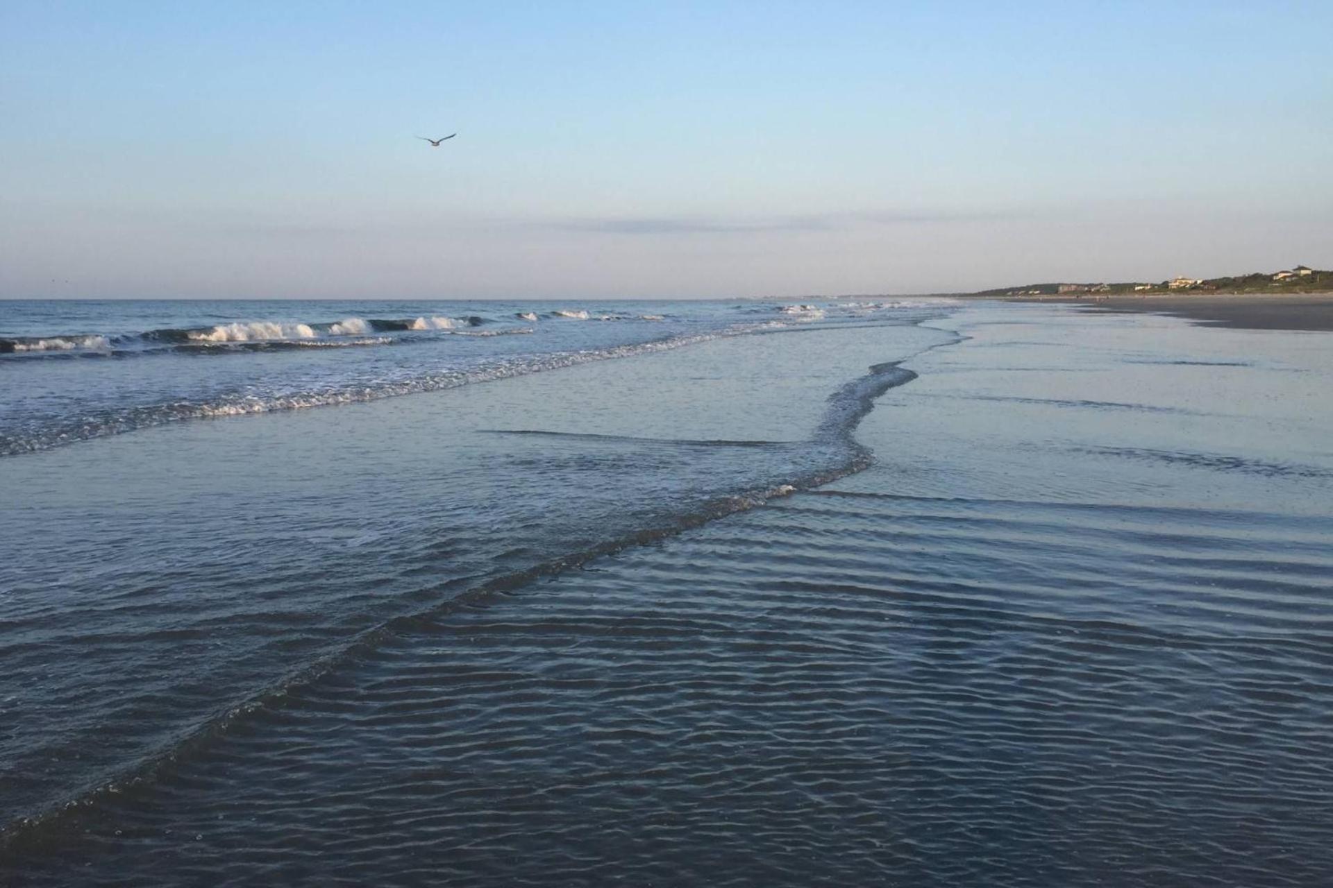 The Blue Pearl Villa Kiawah Island Exteriör bild